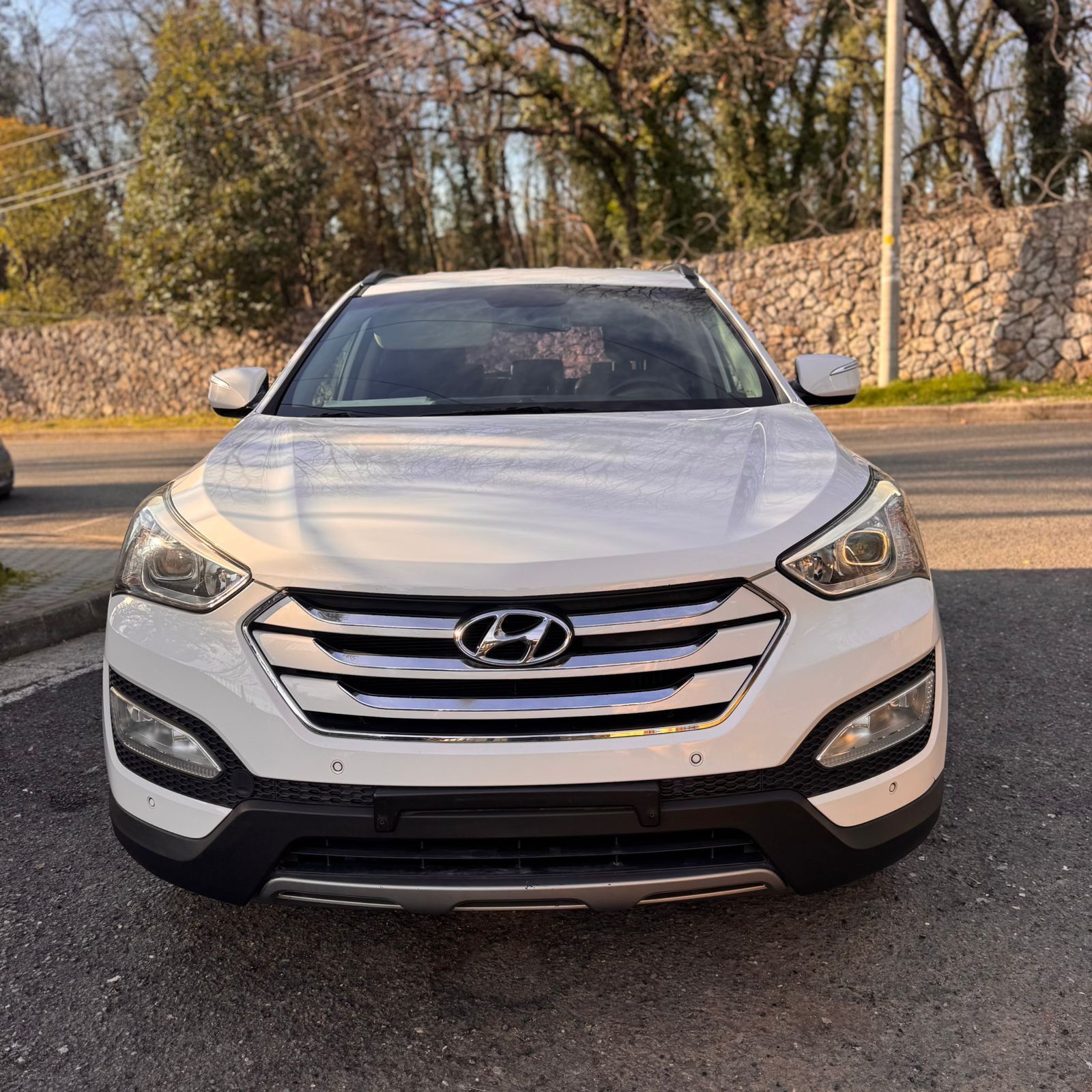 Shes Hyundai Santa Fe - 8