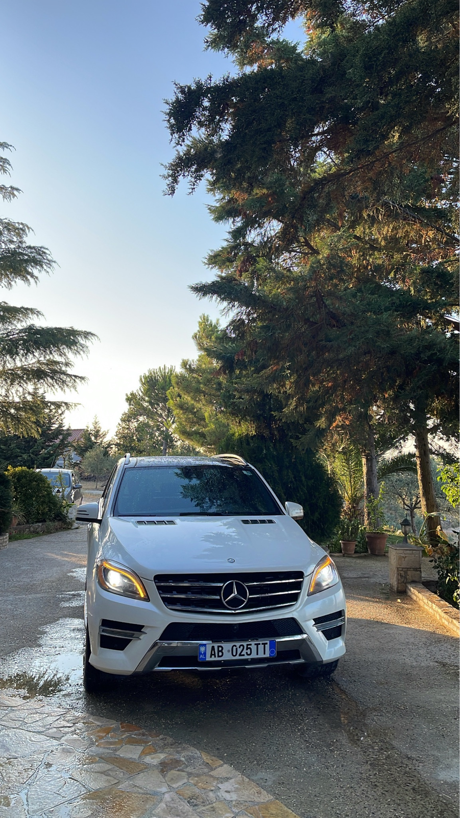 Shitet Ml 350 - 8
