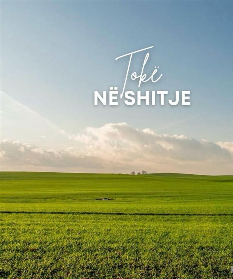 SHITET TOKE NE FARKE