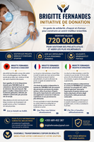 Iniciativa e dhurimit-Mbështetje për projekte serioze - 1
