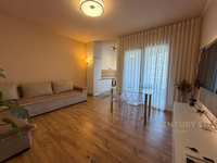 Ofrojme apartament 1+1 me qira! - 1