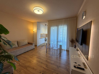 Ofrojme apartament 1+1 me qira! - 3